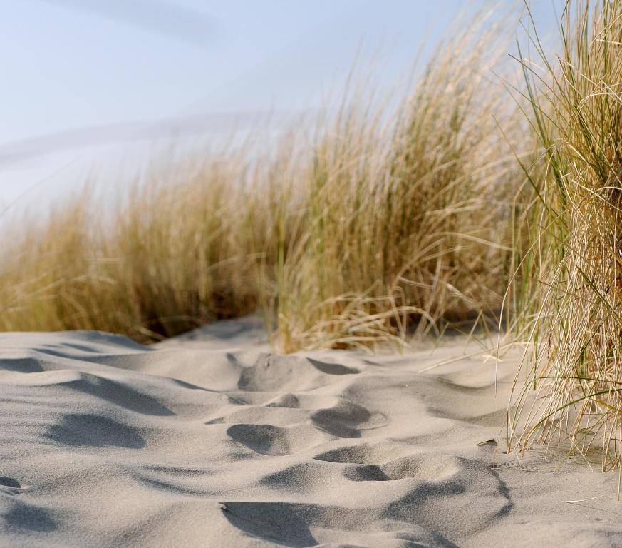 Fletcher Landgoedhotel Hotel Renesse